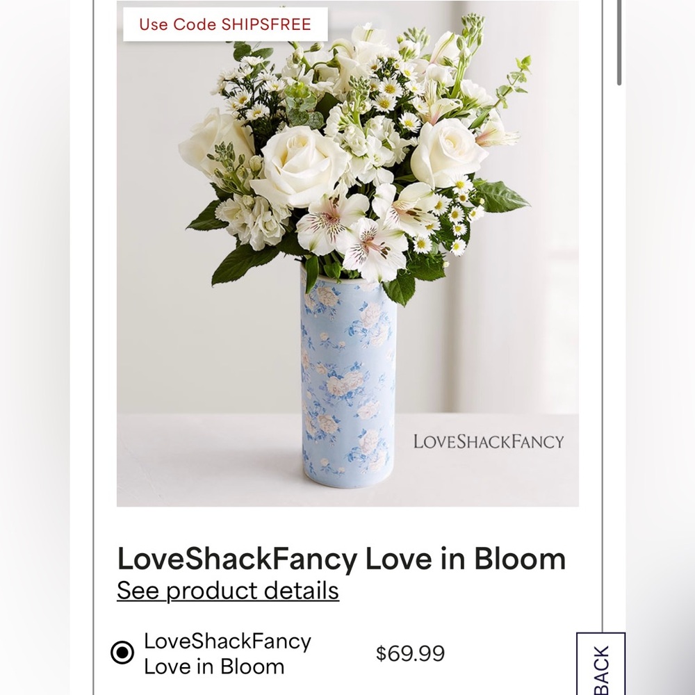 ⚡️🚚 MOVING SALE! 💙🩵LoveShackFancy Love in Bloom Flower Vase